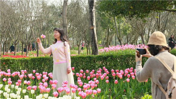 游客在花海间拍照打卡。实习生 夏南 摄