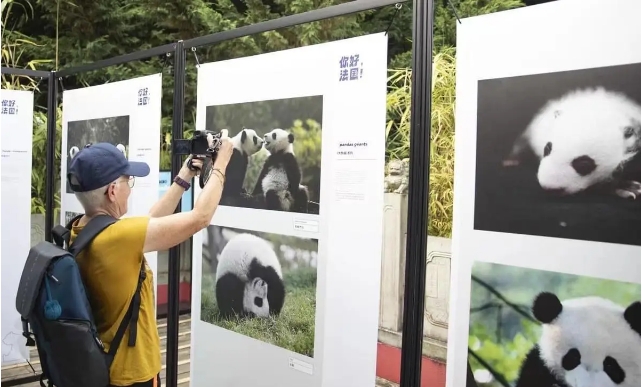 为旅法大熊猫庆生，“熊猫连接世界”主题文化艺术展在法国博瓦勒动物园举行 